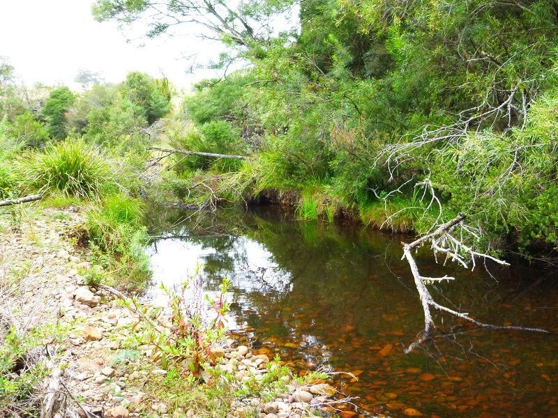 L12 Ballantynes Road, Nethercote NSW 2549