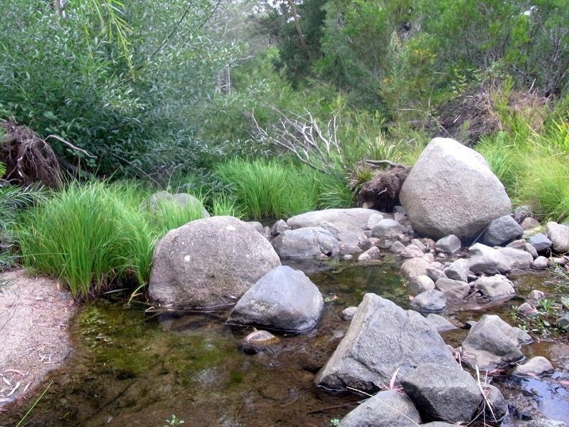 L6 Mt Darragh Road, Wyndham NSW 2550