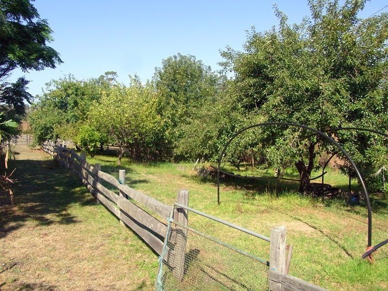 19 Gordon Street, Wyndham NSW 2550