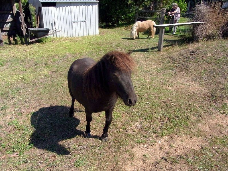 19 Gordon Street, Wyndham NSW 2550