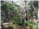 25 Wonboyn Road, Wonboyn NSW 2551