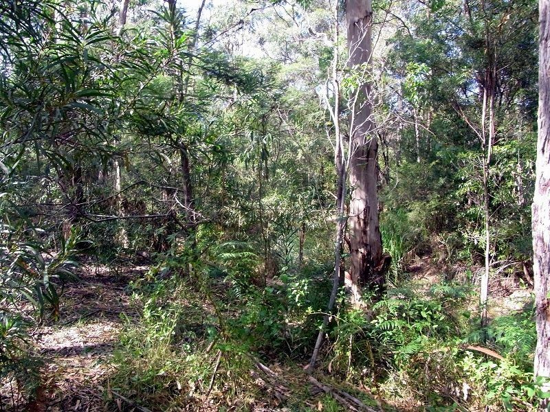 25 Wonboyn Road, Wonboyn NSW 2551
