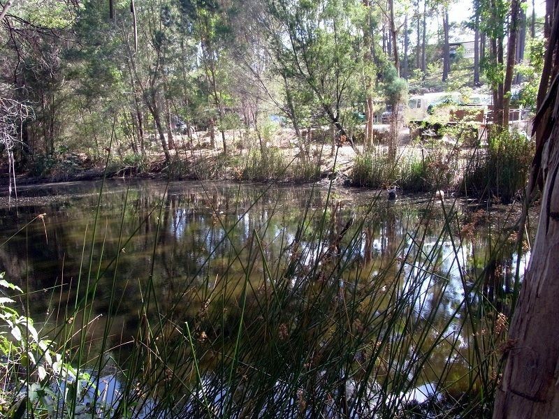 25 Wonboyn Road, Wonboyn NSW 2551