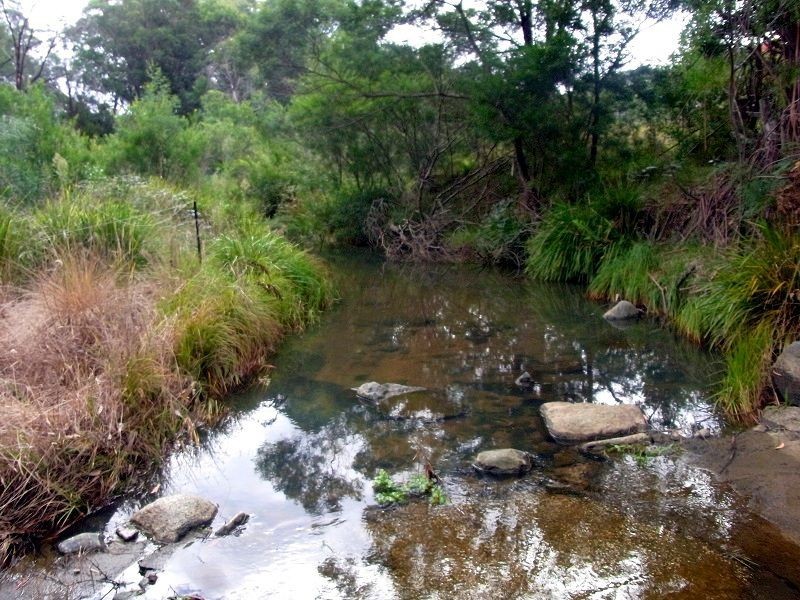 L8 Mt Darragh Road, Wyndham NSW 2550