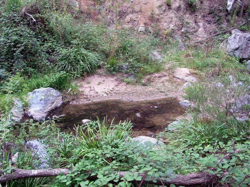 L8 Mt Darragh Road, Wyndham NSW 2550