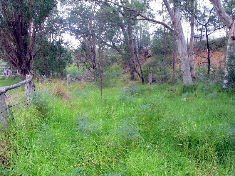 L8 Mt Darragh Road, Wyndham NSW 2550