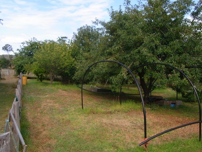 19 Gordon Street, Wyndham NSW 2550