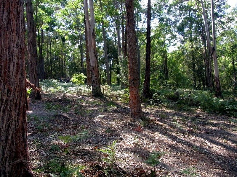 25 Wonboyn Road, Wonboyn NSW 2551