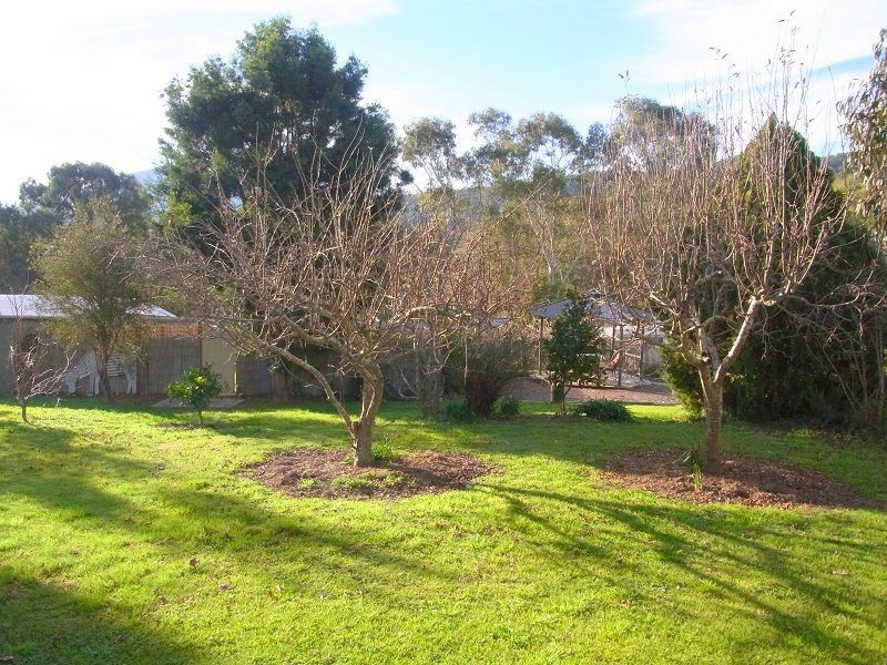 23-25 Towamba Street, Towamba NSW 2550