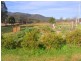 23-25 Towamba Street, Towamba NSW 2550