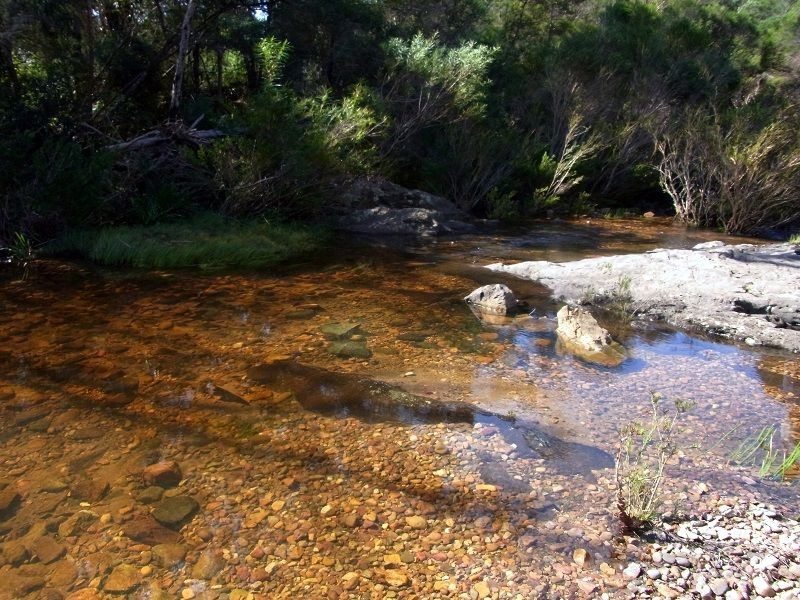 1215 Nethercote Road, Nethercote NSW 2549