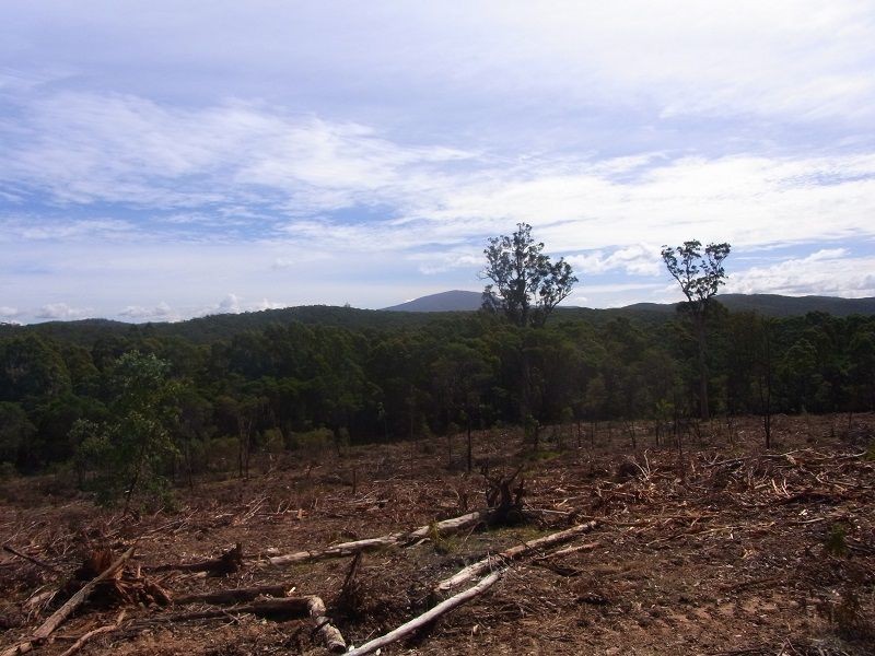 Portion 35, Narrabarba NSW 2551