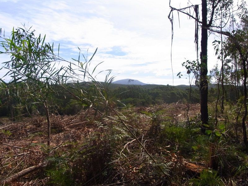 Portion 35, Narrabarba NSW 2551