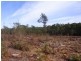 Portion 35, Narrabarba NSW 2551