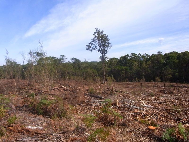 Portion 35, Narrabarba NSW 2551