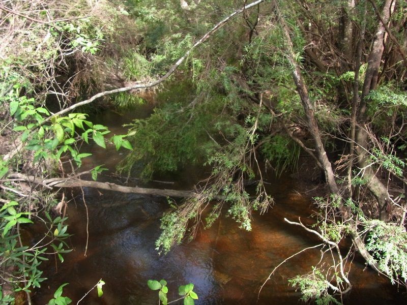 Portion 35, Narrabarba NSW 2551