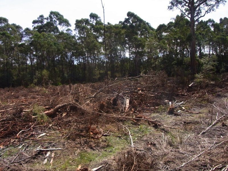 Portion 35, Narrabarba NSW 2551