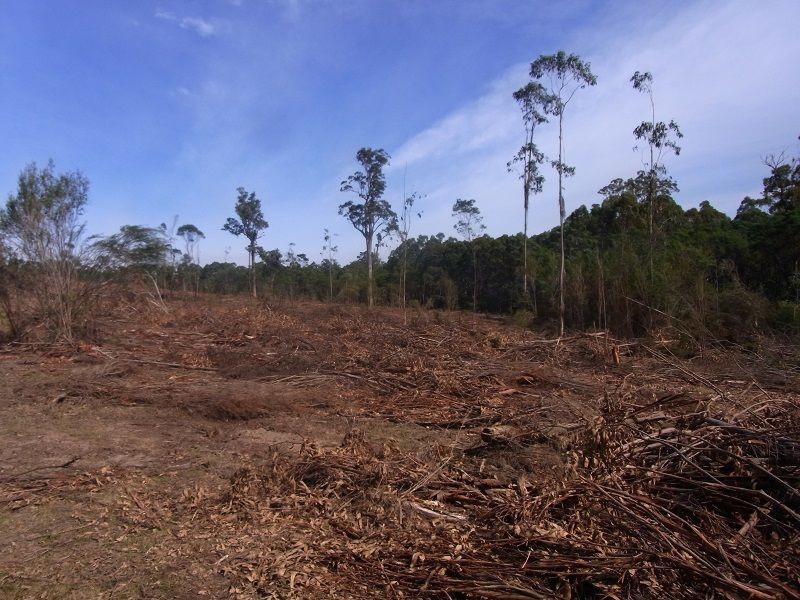 Portion 35, Narrabarba NSW 2551