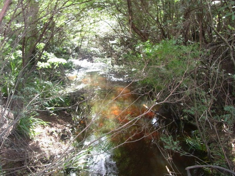 Portion 35, Narrabarba NSW 2551