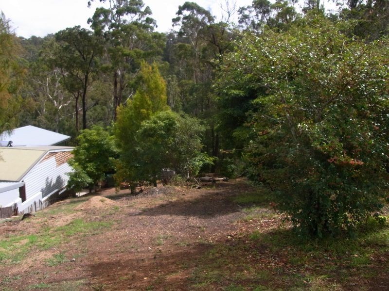 3 Bellbird Court, Eden NSW 2551