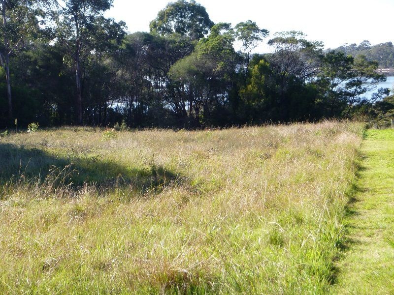 1 Blackwood Lane, Broadwater NSW 2549