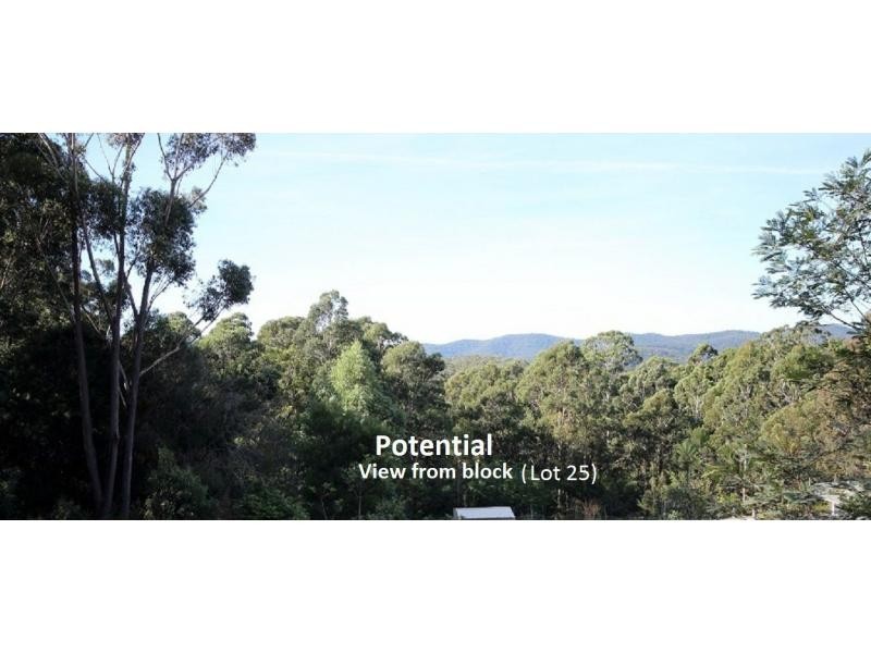 L25 Kiaka Road, Nethercote NSW 2549