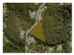 L25 Kiaka Road, Nethercote NSW 2549