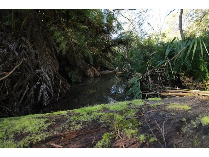L2844 Kingfisher & Mount Darragh Roads, Wyndham NSW 2550
