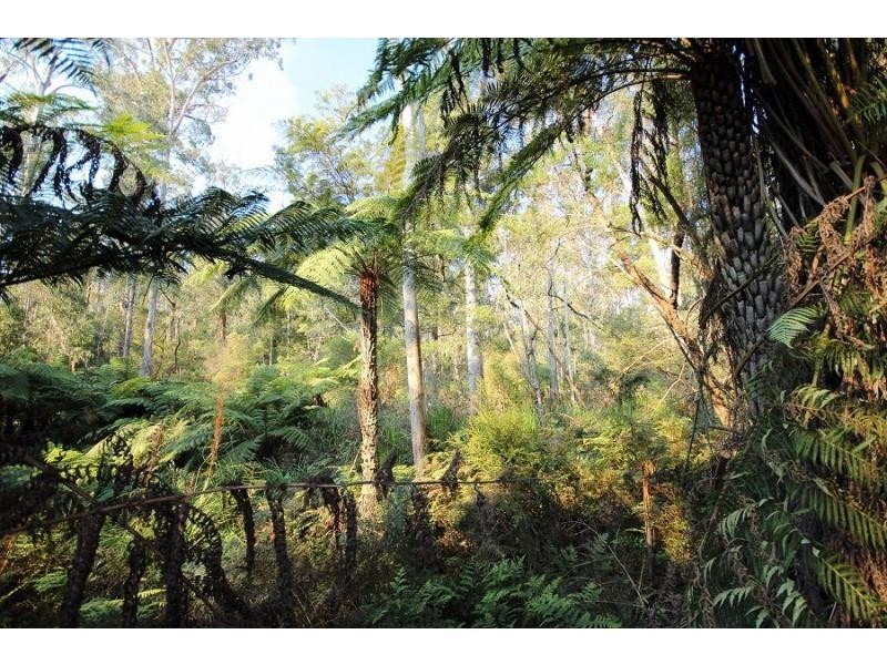 L2844 Kingfisher & Mount Darragh Roads, Wyndham NSW 2550