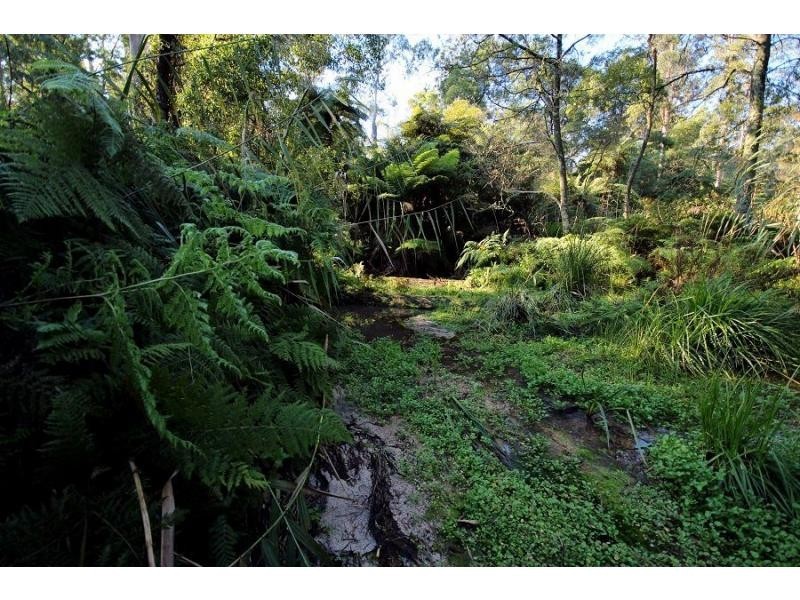 L2844 Kingfisher & Mount Darragh Roads, Wyndham NSW 2550