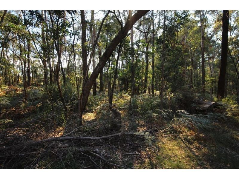L2844 Kingfisher & Mount Darragh Roads, Wyndham NSW 2550