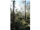 L2844 Kingfisher & Mount Darragh Roads, Wyndham NSW 2550