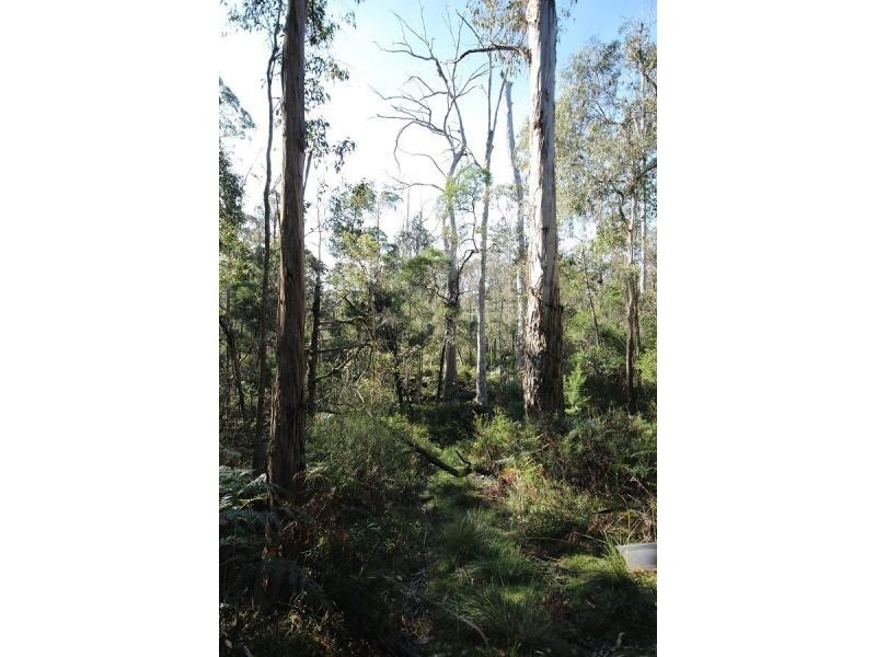 L2844 Kingfisher & Mount Darragh Roads, Wyndham NSW 2550