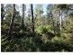 L2844 Kingfisher & Mount Darragh Roads, Wyndham NSW 2550