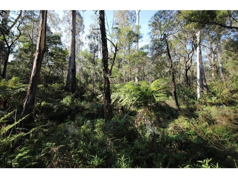 L2844 Kingfisher & Mount Darragh Roads, Wyndham NSW 2550