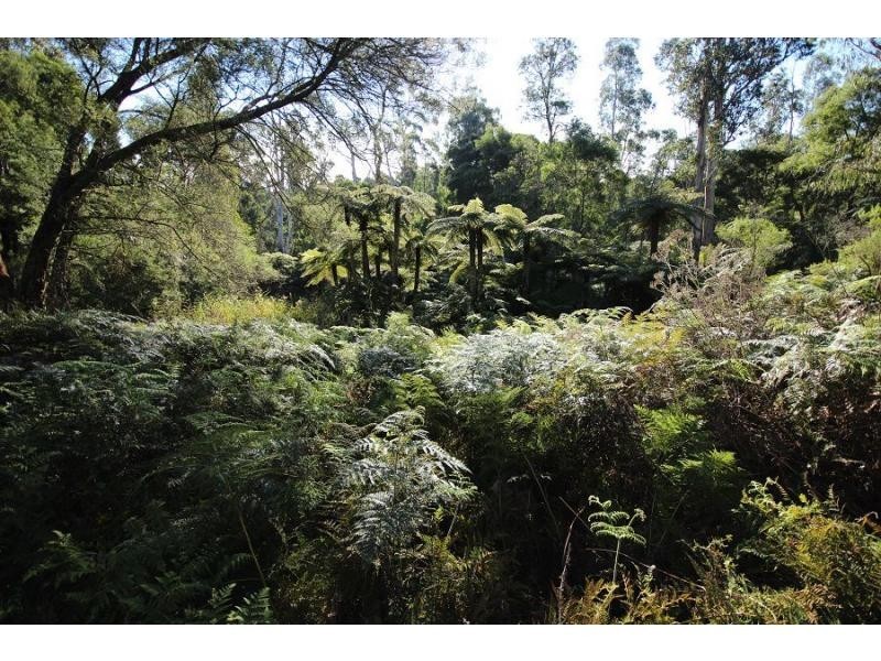 L2844 Kingfisher & Mount Darragh Roads, Wyndham NSW 2550