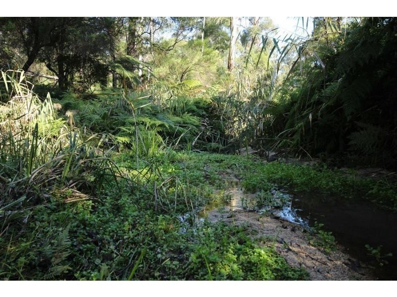 L2844 Kingfisher & Mount Darragh Roads, Wyndham NSW 2550