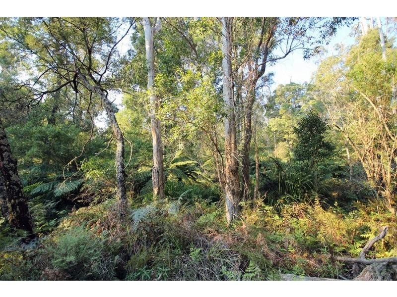 L2844 Kingfisher & Mount Darragh Roads, Wyndham NSW 2550