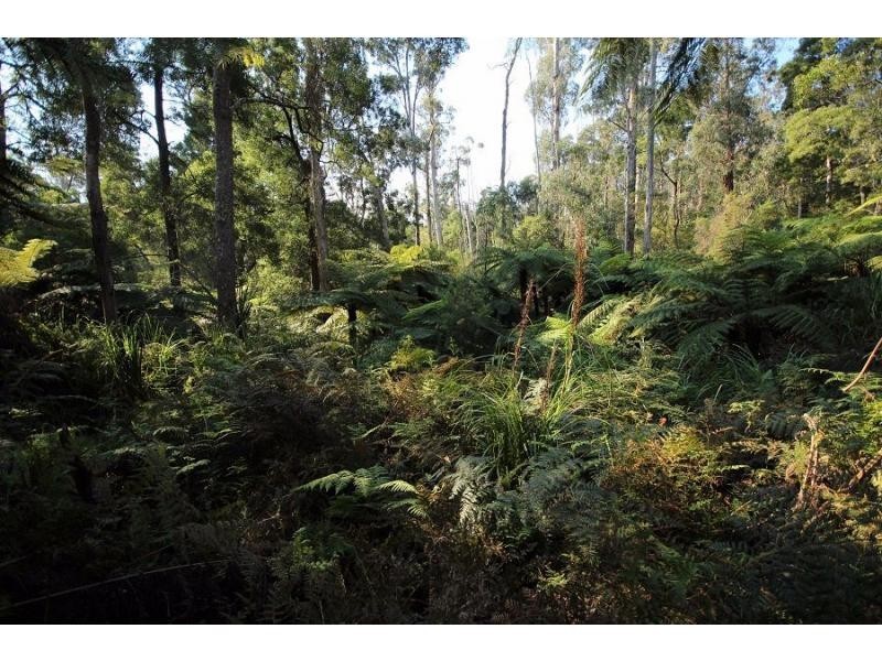 L2844 Kingfisher & Mount Darragh Roads, Wyndham NSW 2550