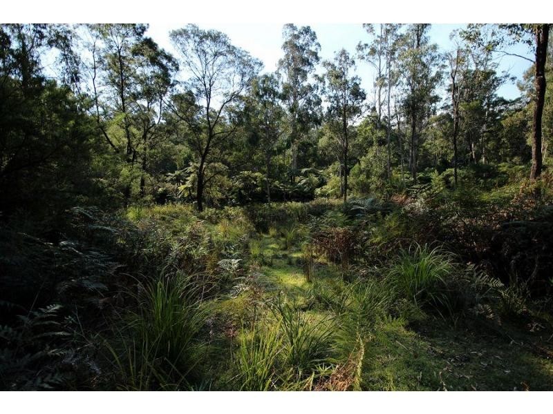 L2844 Kingfisher & Mount Darragh Roads, Wyndham NSW 2550