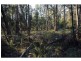 L2844 Kingfisher & Mount Darragh Roads, Wyndham NSW 2550