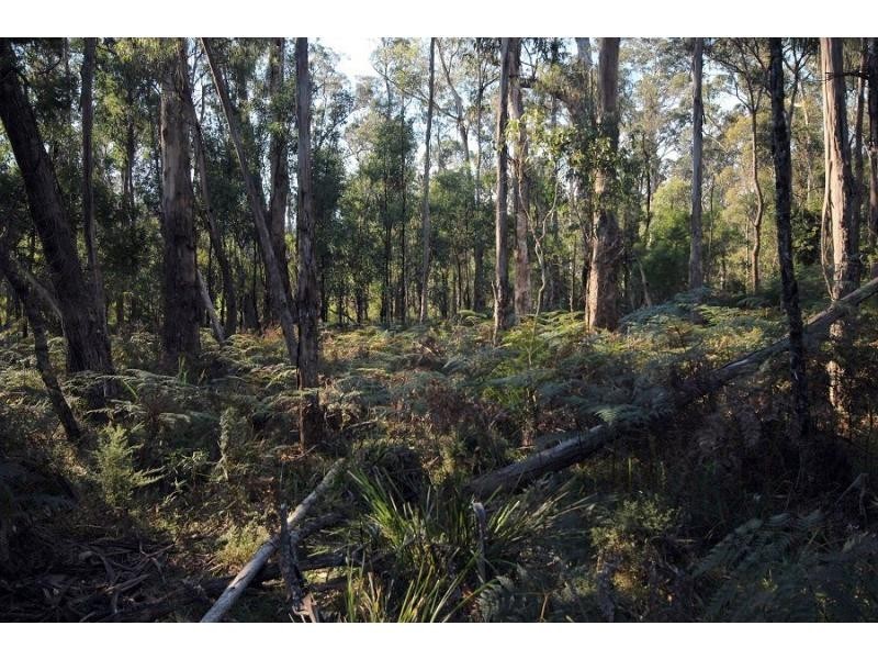 L2844 Kingfisher & Mount Darragh Roads, Wyndham NSW 2550