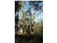 L2844 Kingfisher & Mount Darragh Roads, Wyndham NSW 2550