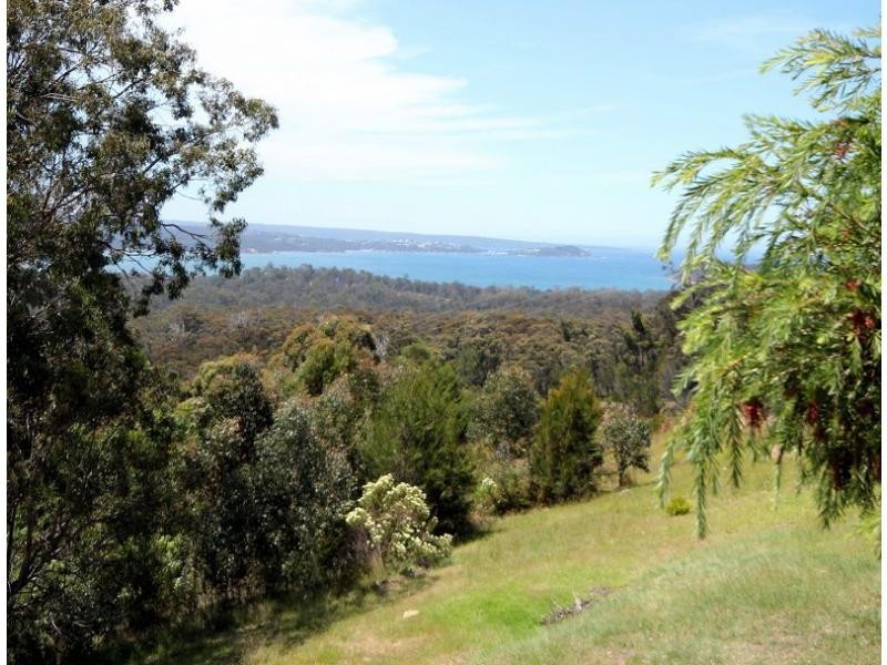 205 Yarran Road, Boydtown NSW 2551