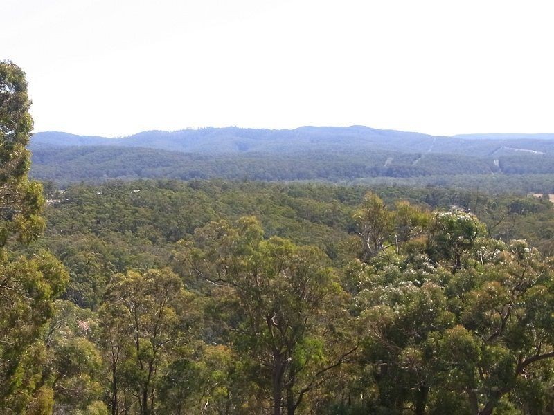 205 Yarran Road, Boydtown NSW 2551