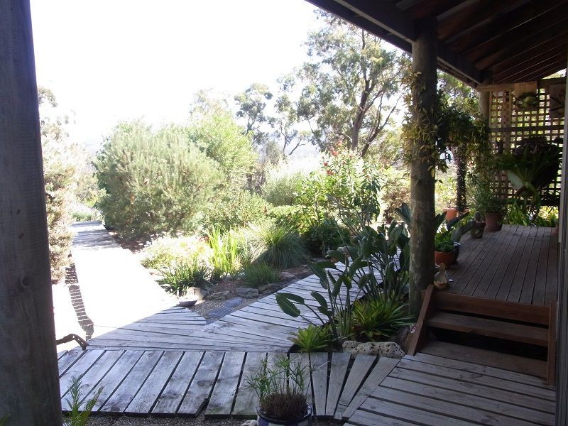 205 Yarran Road, Boydtown NSW 2551