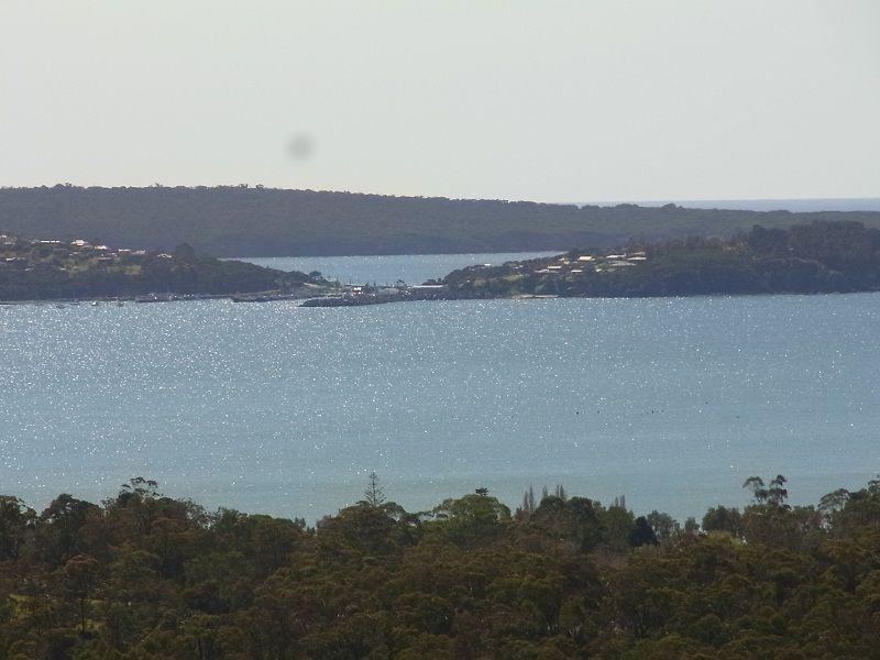 205 Yarran Road, Boydtown NSW 2551