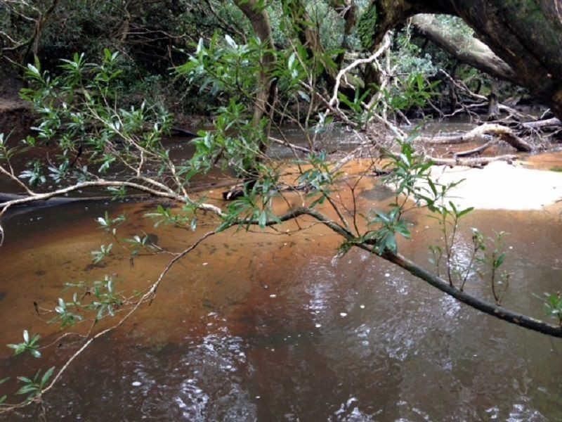 4365 Princes Highway, Timbillica NSW 2551