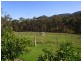 213 Myrtle Mt Road, Wyndham NSW 2550
