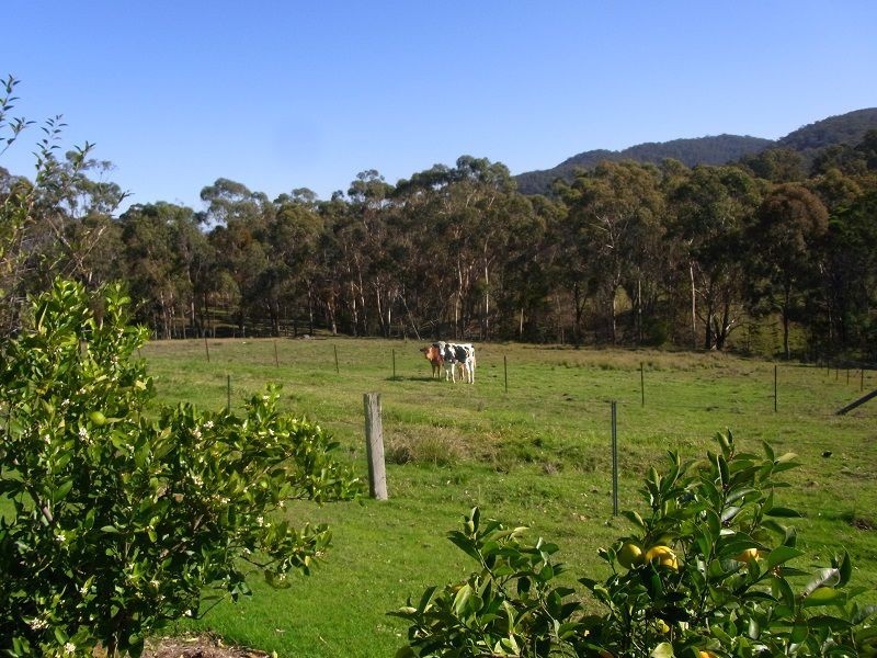 213 Myrtle Mt Road, Wyndham NSW 2550